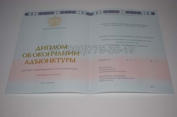 Диплом Адъюнктуры 2024г в Санкт-Петербурге